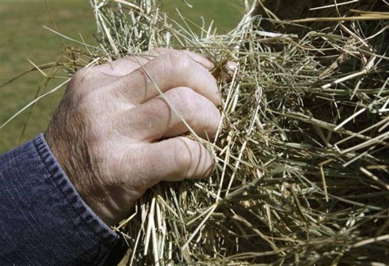 Farmer Jerry Gill inspects recently-harvested hay in a field at his Kibler, Ark., farm. Part of Gill's land was flooded in March and suffered drought in the summer months. 